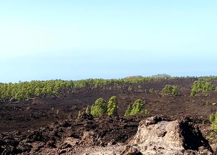 Lovely Sunny * Адехе