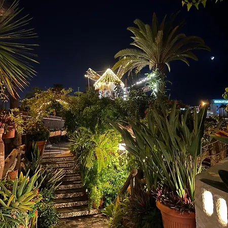 Lovely Sunny Costa Adeje (Tenerife)