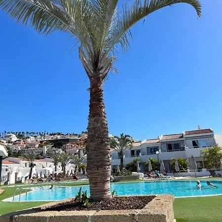 Lovely Sunny