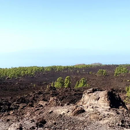 Lovely Sunny * 阿德耶